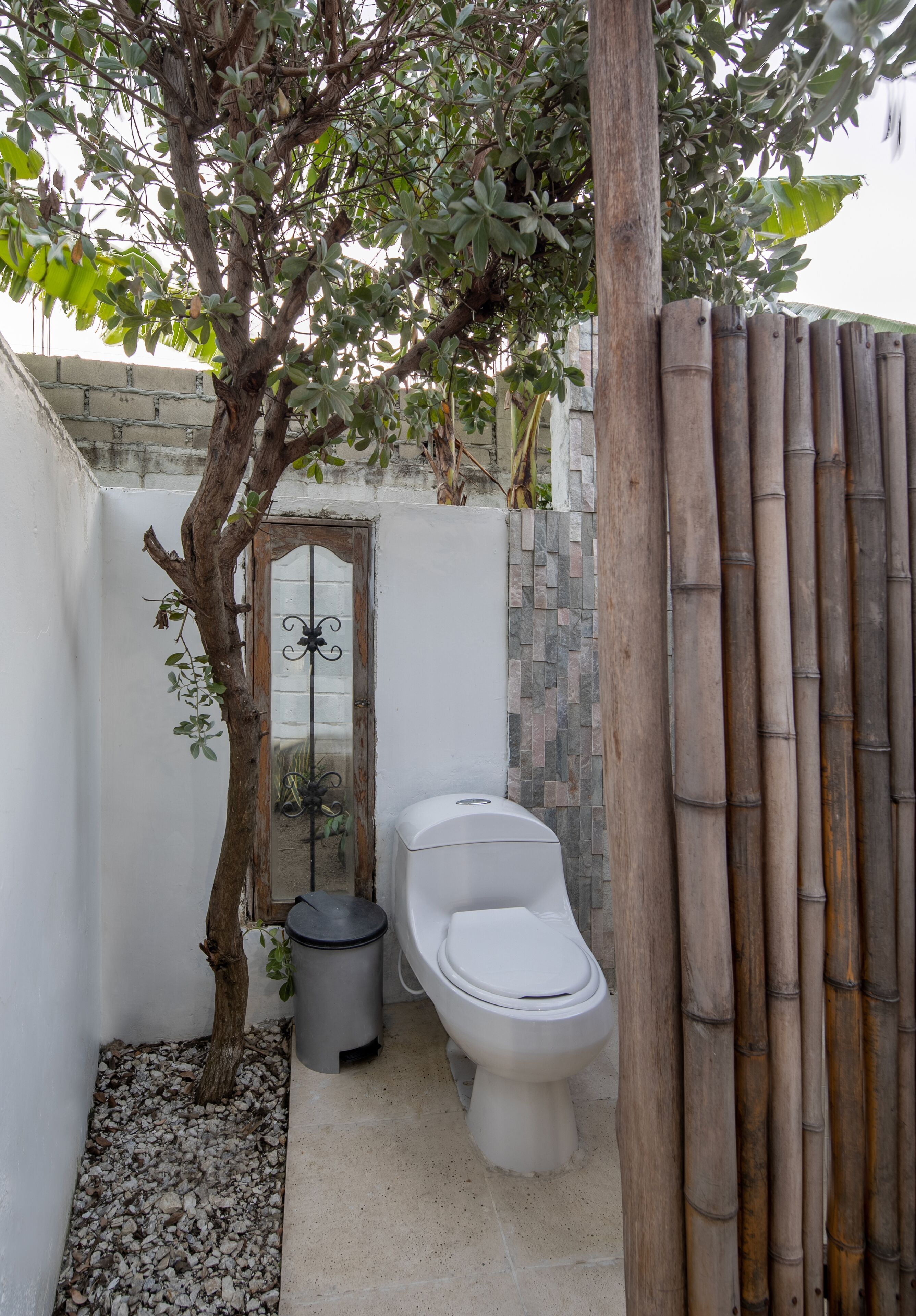 Un baño pequeño con inodoro, una planta pequeña y una cerca de bambú.