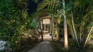 A pathway leading to a glass-enclosed structure surrounded by lush tropical vegetation. - Villa el Oasis (Santa Marta)