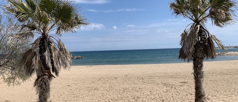 Playa