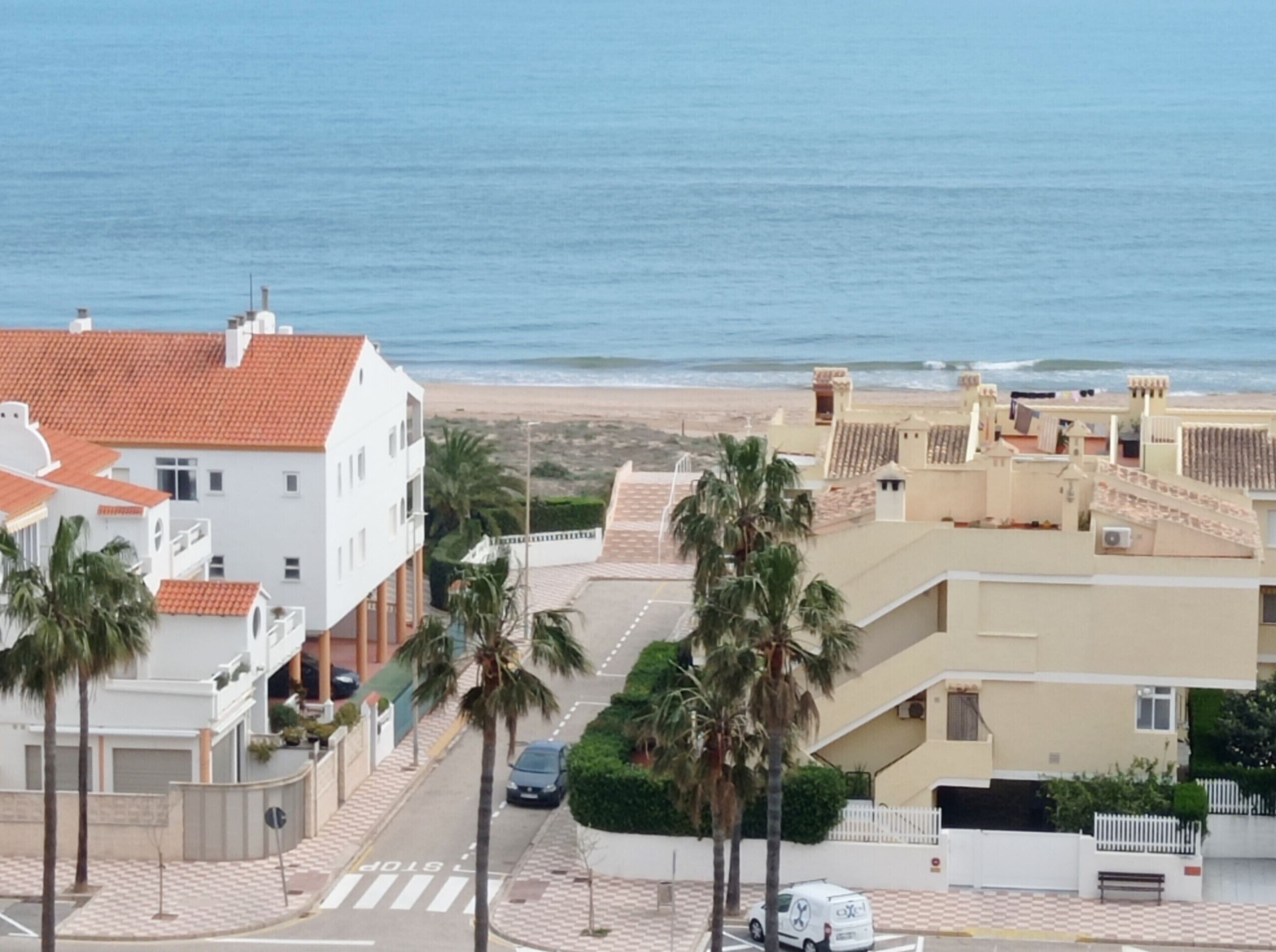 Une zone résidentielle côtière avec des bâtiments, des palmiers et une plage en arrière-plan.