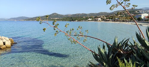 entre mer et montagne,au coeur de CERVIONE,appartement entièrement rénové .