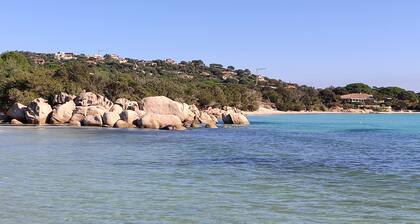 Entre mer et Montagne,au Coeur de Cervione,appartement Entièrement Rénové