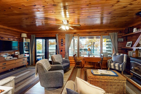 TV, fireplace, books