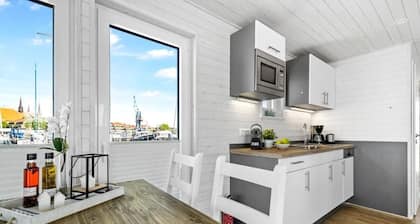 Hausboot Glücksmomente für 4 Personen mit Dachterrasse am Ostseefjord Schlei