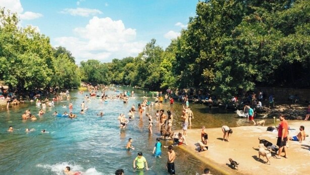Ein belebtes Freibad mit Menschen und Hunden, umgeben von Bäumen.