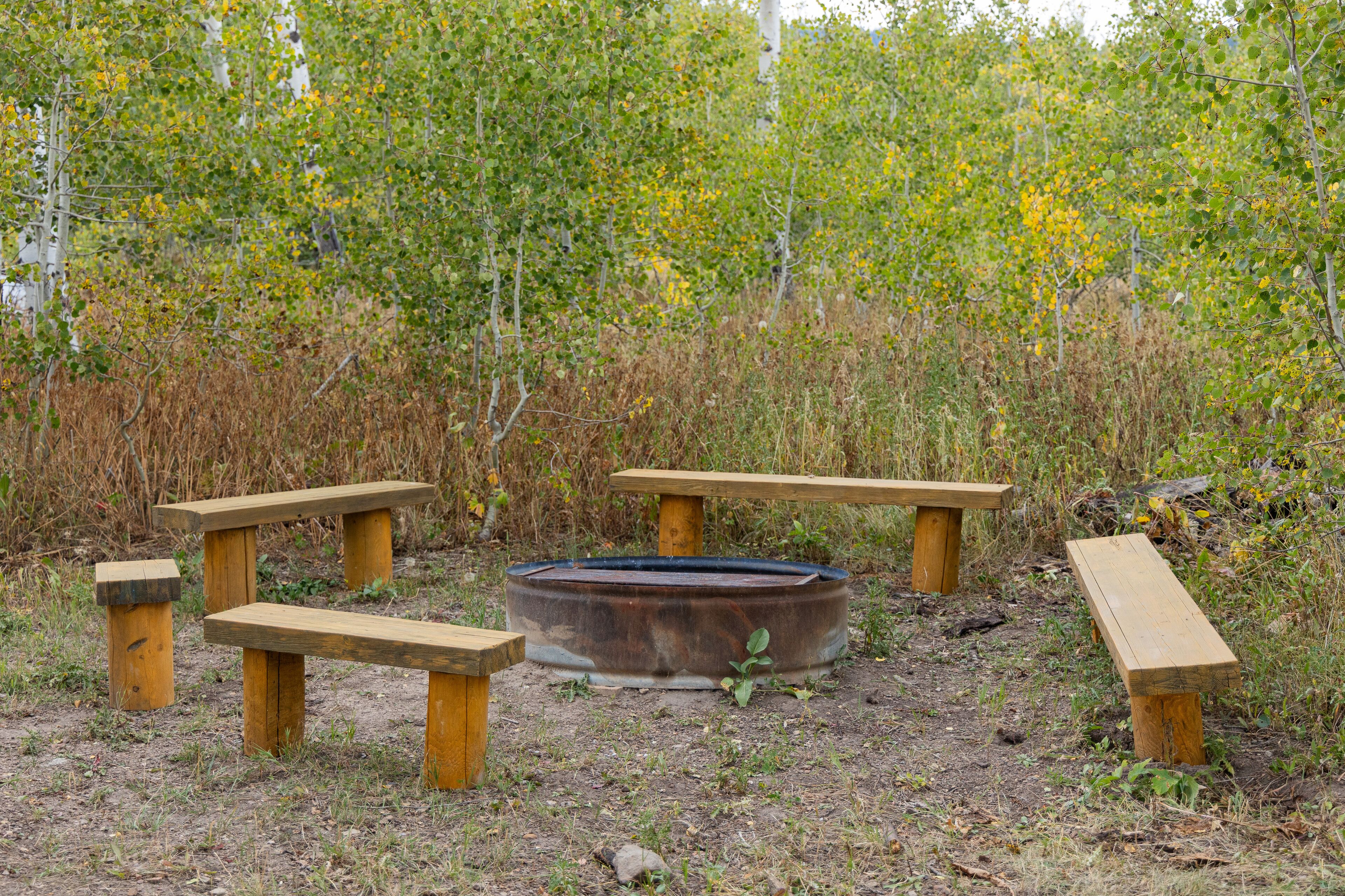 Un espace de pique-nique équipé de bancs et d’un foyer, le tout entouré d’arbres.