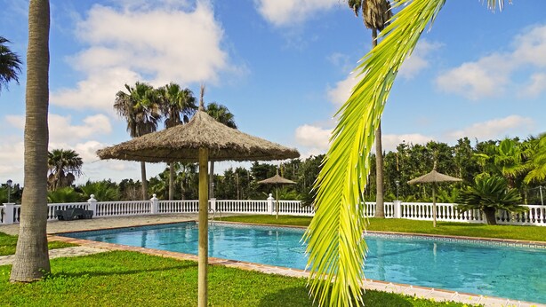 Una piscina con sombrilla de paja, rodeada de palmeras y una valla blanca.