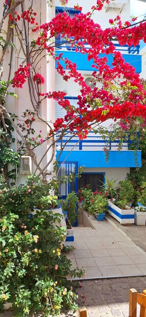 Front of property - Blue Sky (Kantanos-Selino)