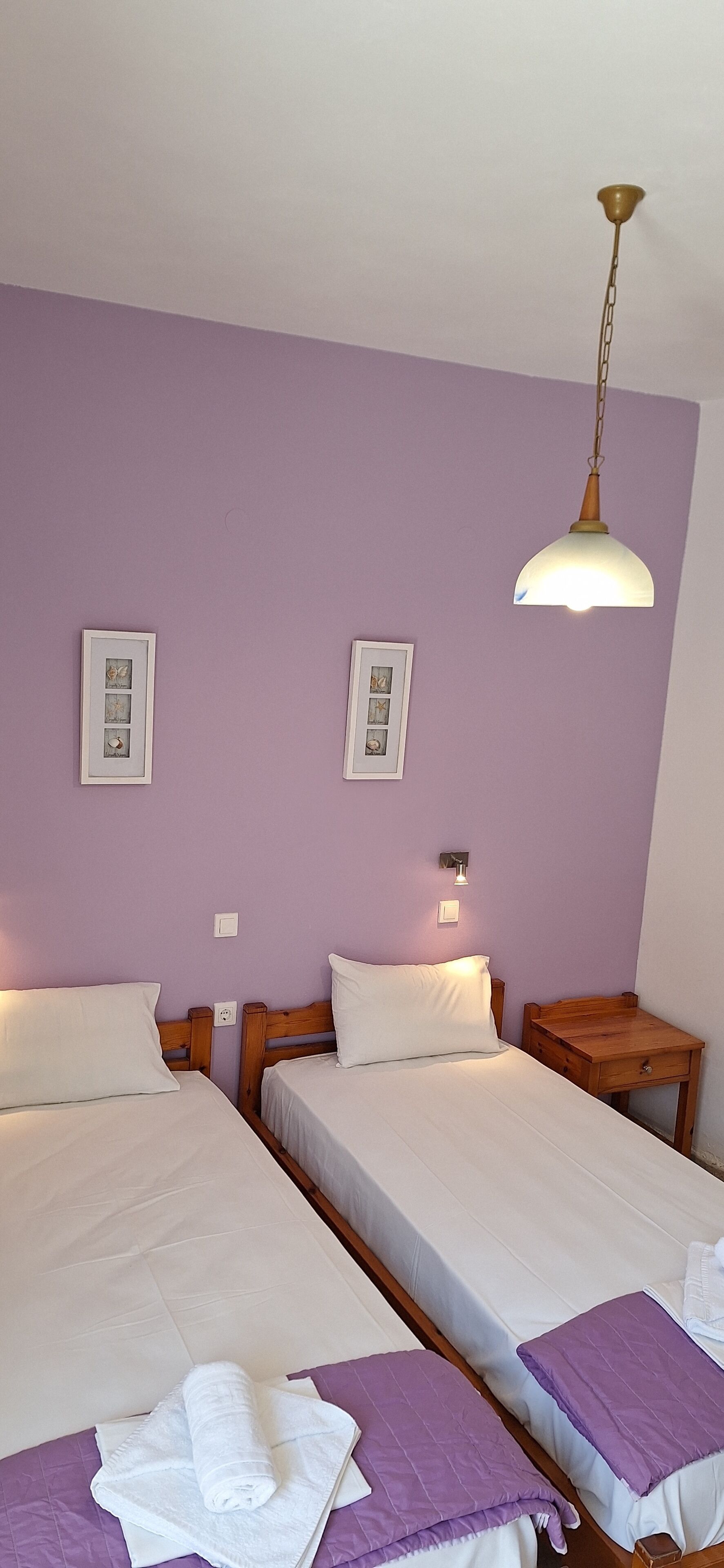 A room with two single beds, each with white linens and purple pillows. There is a wooden nightstand with a lamp between the beds.