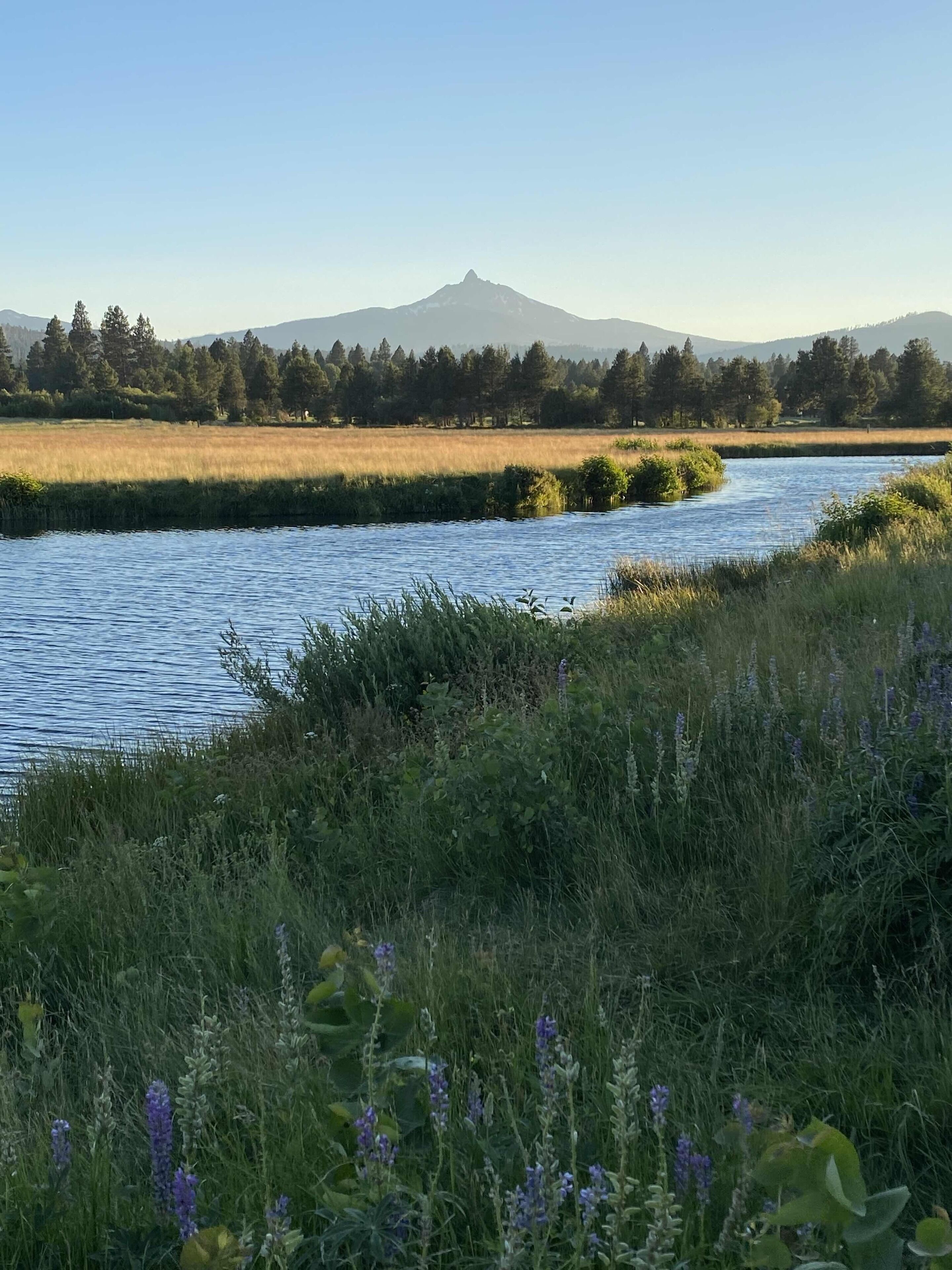 A river with a mountain in the background, surrounded by greenery and wildflowers.