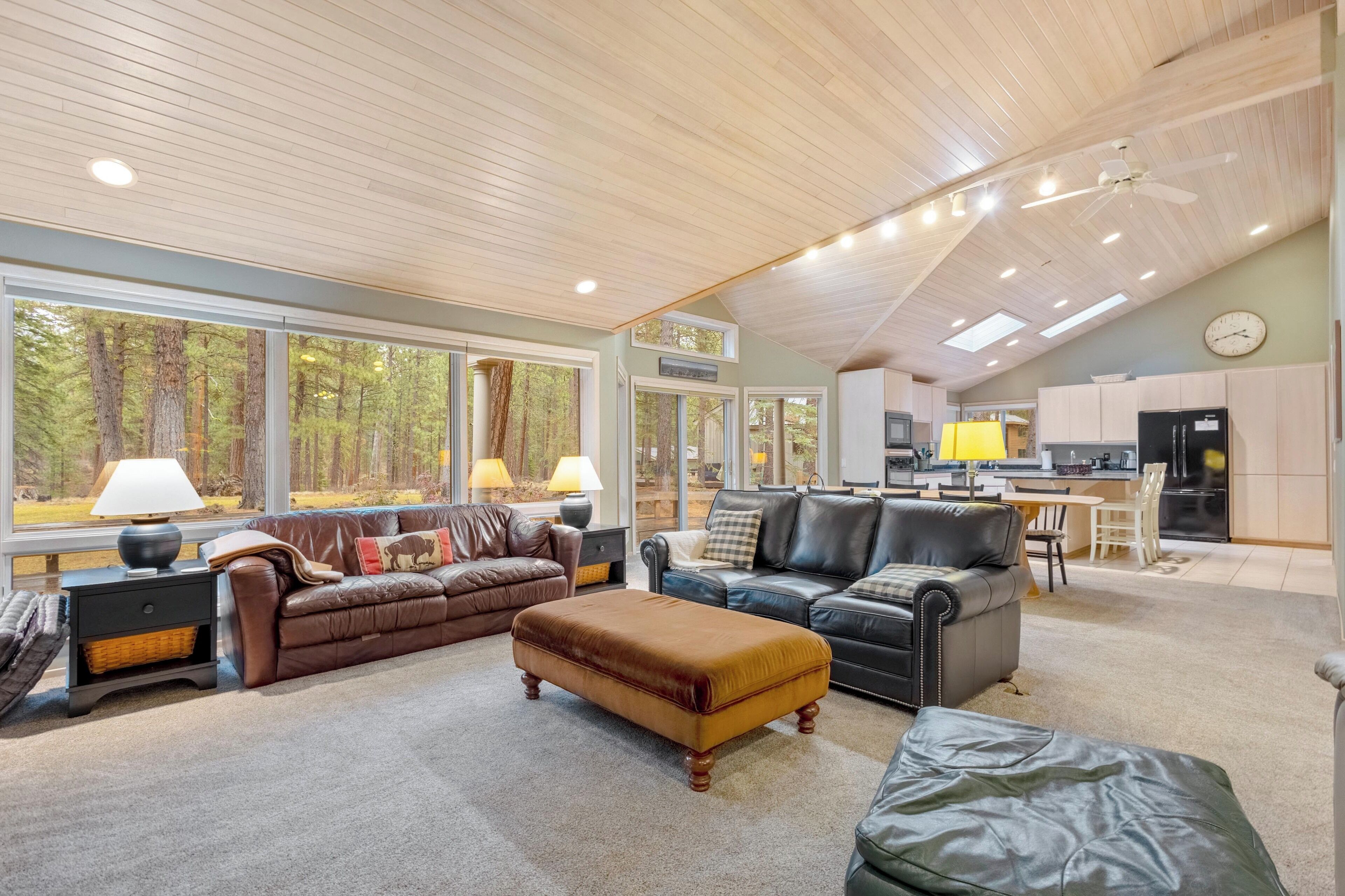 TV connectée, cheminée, lecteur de DVD, livres