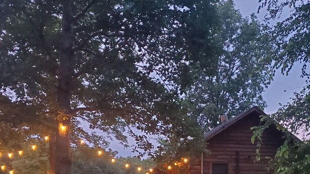 A rustic wooden cabin with a picnic table and string lights. - Peaceful, secluded mountain escape in Gap Mills, WV. (Gap Mills)