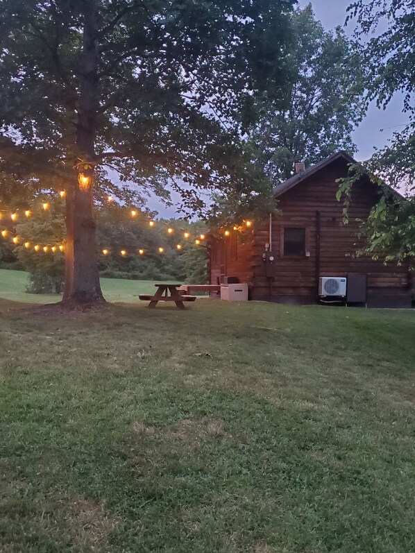 Property grounds - Peaceful, secluded mountain escape in Gap Mills, WV. (Gap Mills)