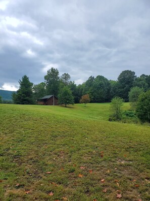 Property grounds - Peaceful, secluded mountain escape in Gap Mills, WV. (Gap Mills)