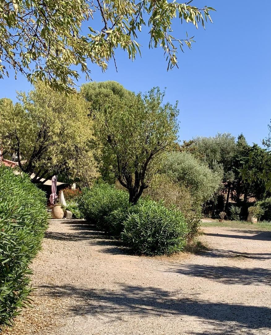 A gravel path flanked by dense shrubbery and trees, leading to a building with a covered entrance.