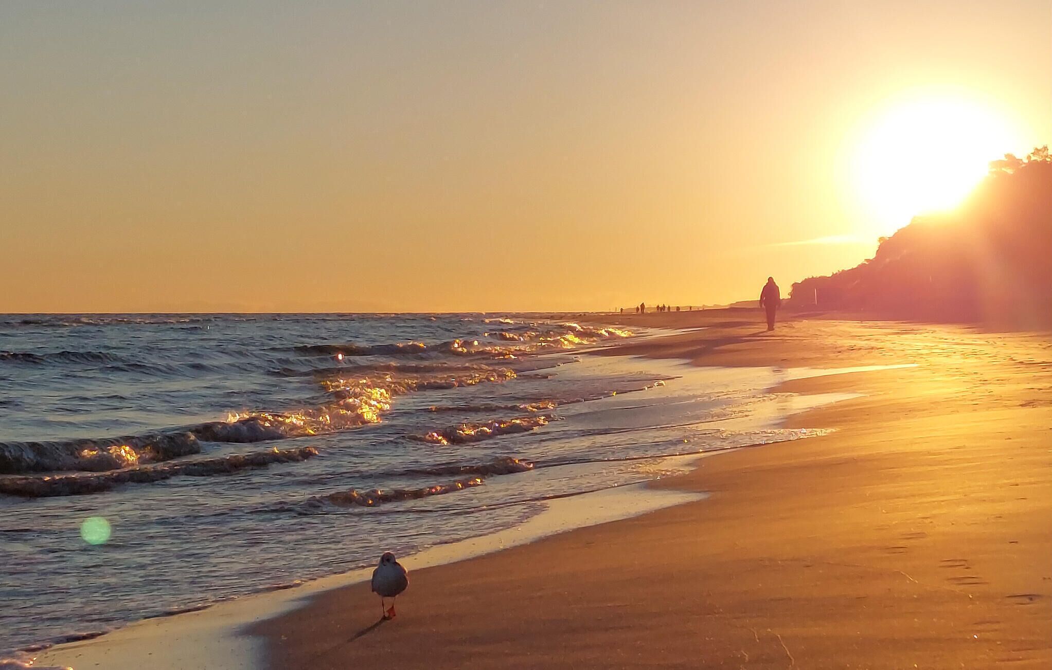 Vlak bij het strand, vissen