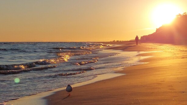 A beach scene with waves, a bird, and people walking along the shore during sunset.