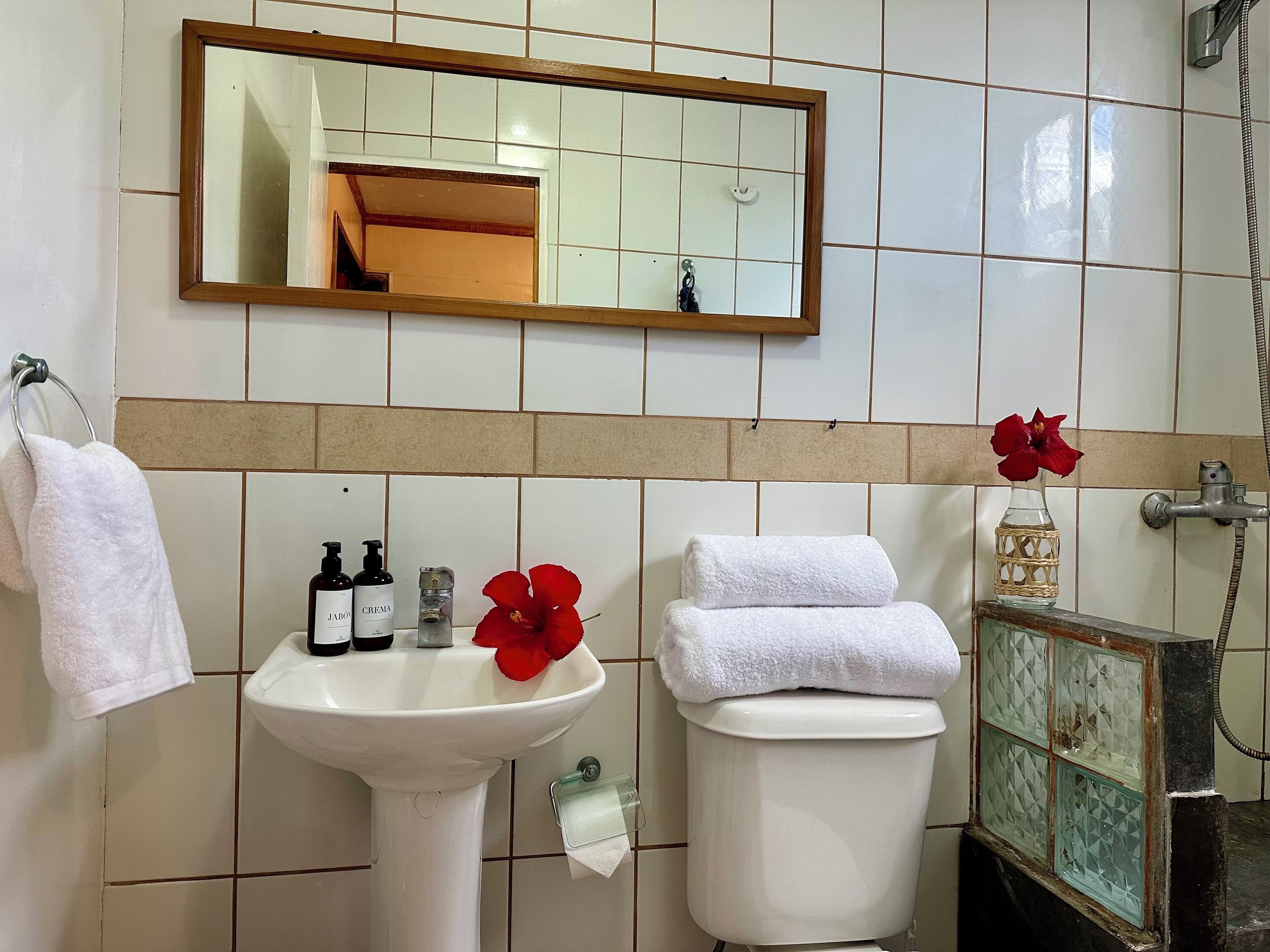 A bathroom with a white sink, a toilet, a mirror, and a shower.