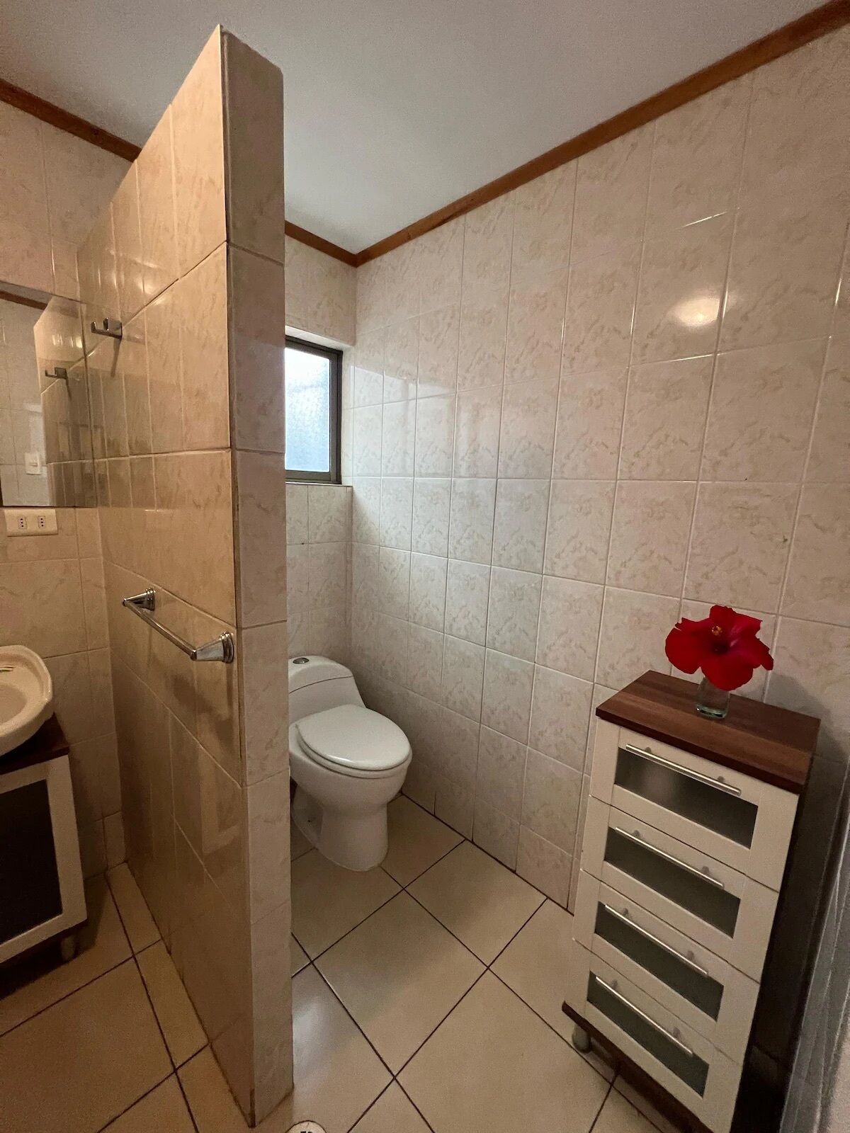 A bathroom with a toilet, a sink, and a shower area.
