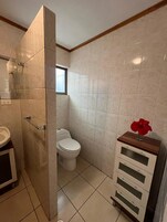 Un baño con inodoro, lavamanos y zona de ducha.
