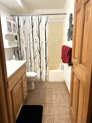 Secadora de cabello, toallas, jabón, shampoo 