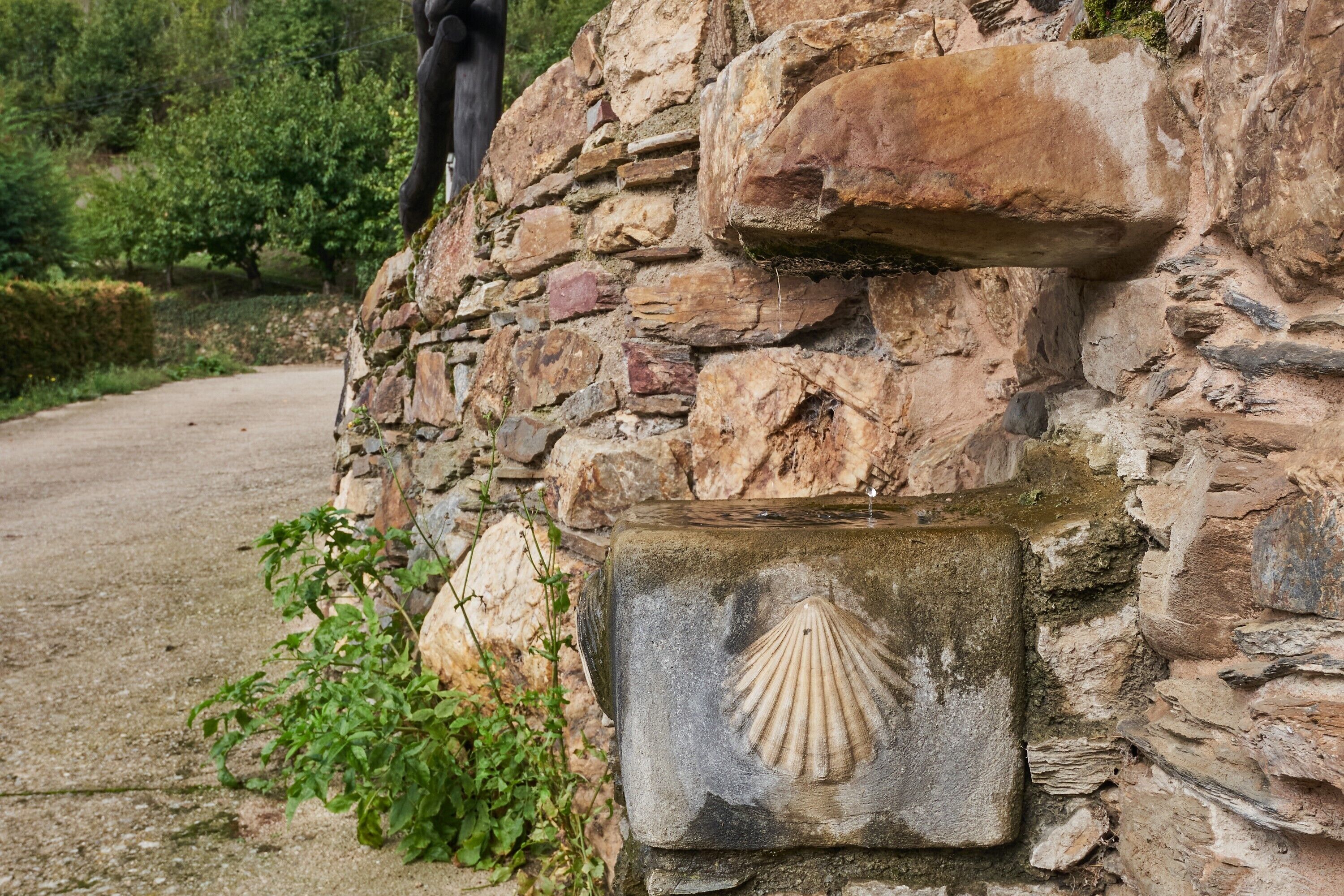 Un muro de piedra con un escudo con forma de vieira, un sendero y follaje.