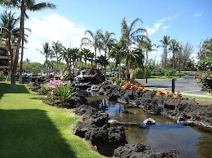 Surrounded by lush greenery and palm trees, this serene oasis features a tranquil water feature and a paved area.