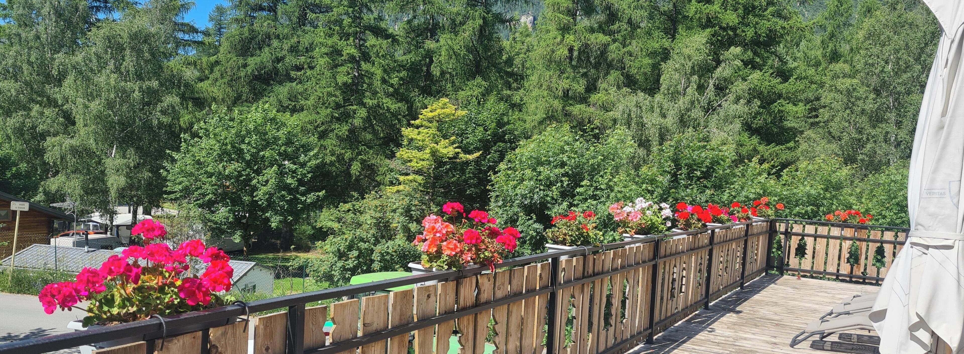 En träveranda med blommor i krukor, ett trästaket och en tät skog i bakgrunden.