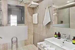Shower, hair dryer, towels