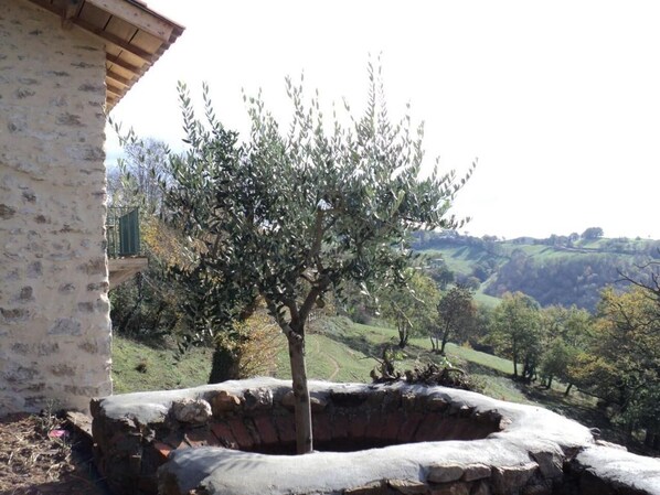 Property grounds - Petite maison en pierres proche du village d'agnac (Firmi)