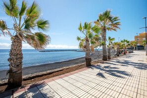 A seaside promenade with palm trees, a tiled walkway, and a distant pier.