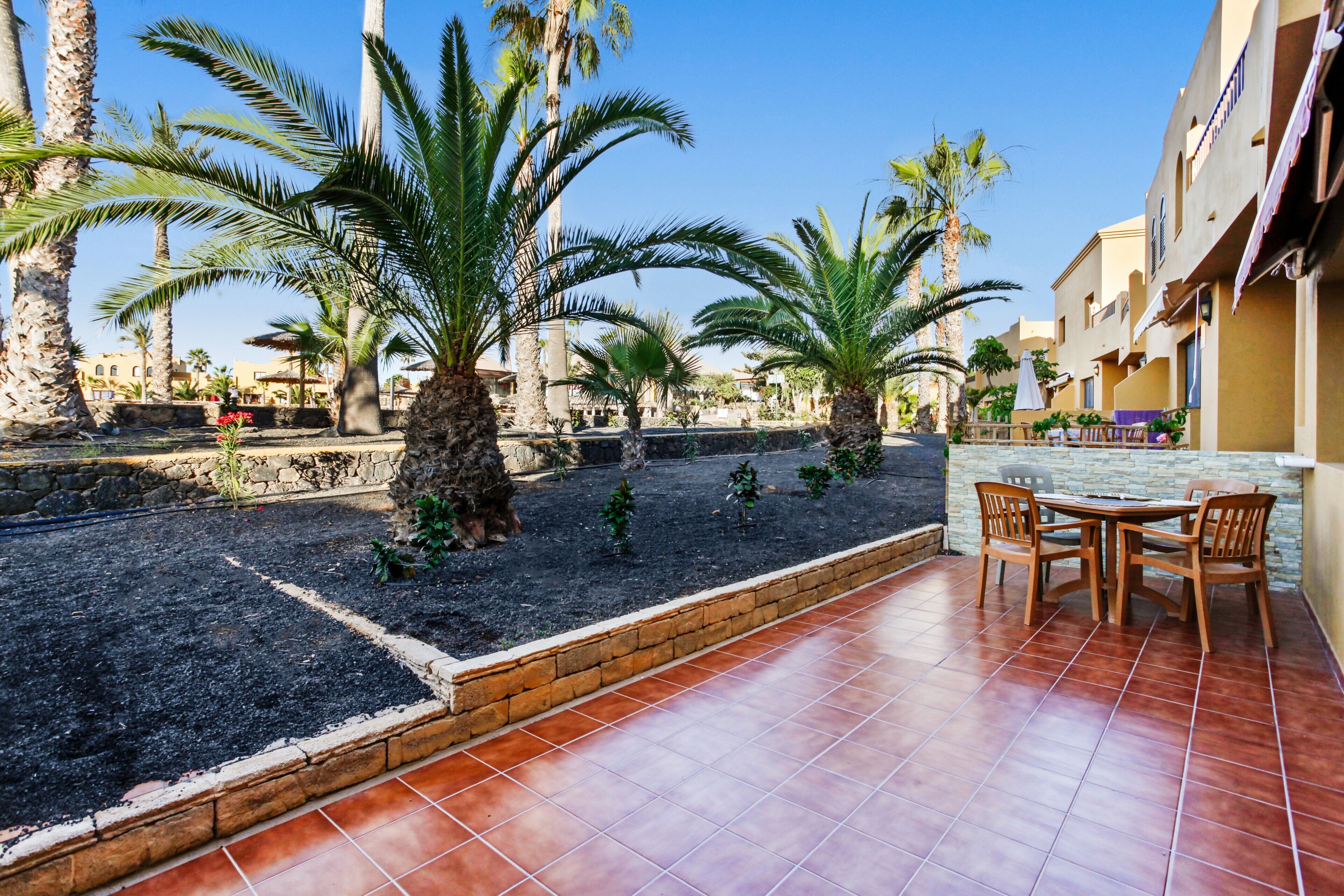 A patio with a brick border, palm trees, and a table with chairs.