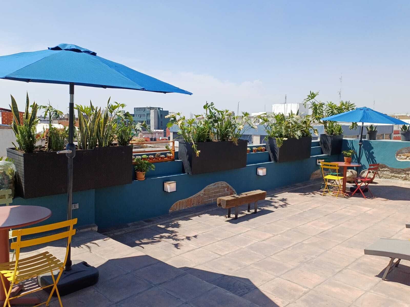 Un patio al aire libre con una sombrilla azul, una mesita, un banco y plantas en macetas.
