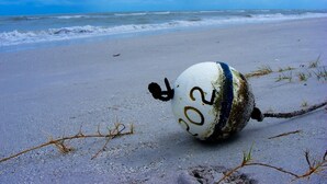 Een strand met een boei waarop '202' staat.