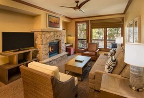 Télévision, cheminée, lecteur de DVD, livres