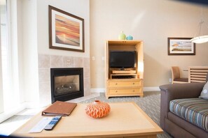 TV, fireplace, DVD player, stereo