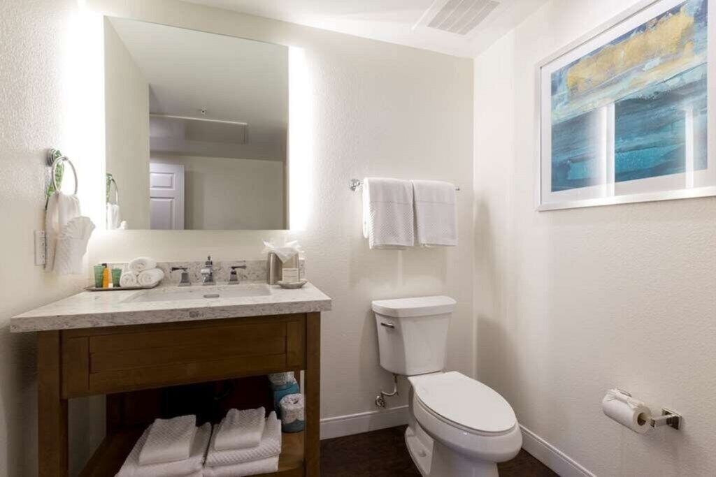 Et badeværelse med et hvidt toilet, en vask med et spejl over, og et billede i ramme på væggen.