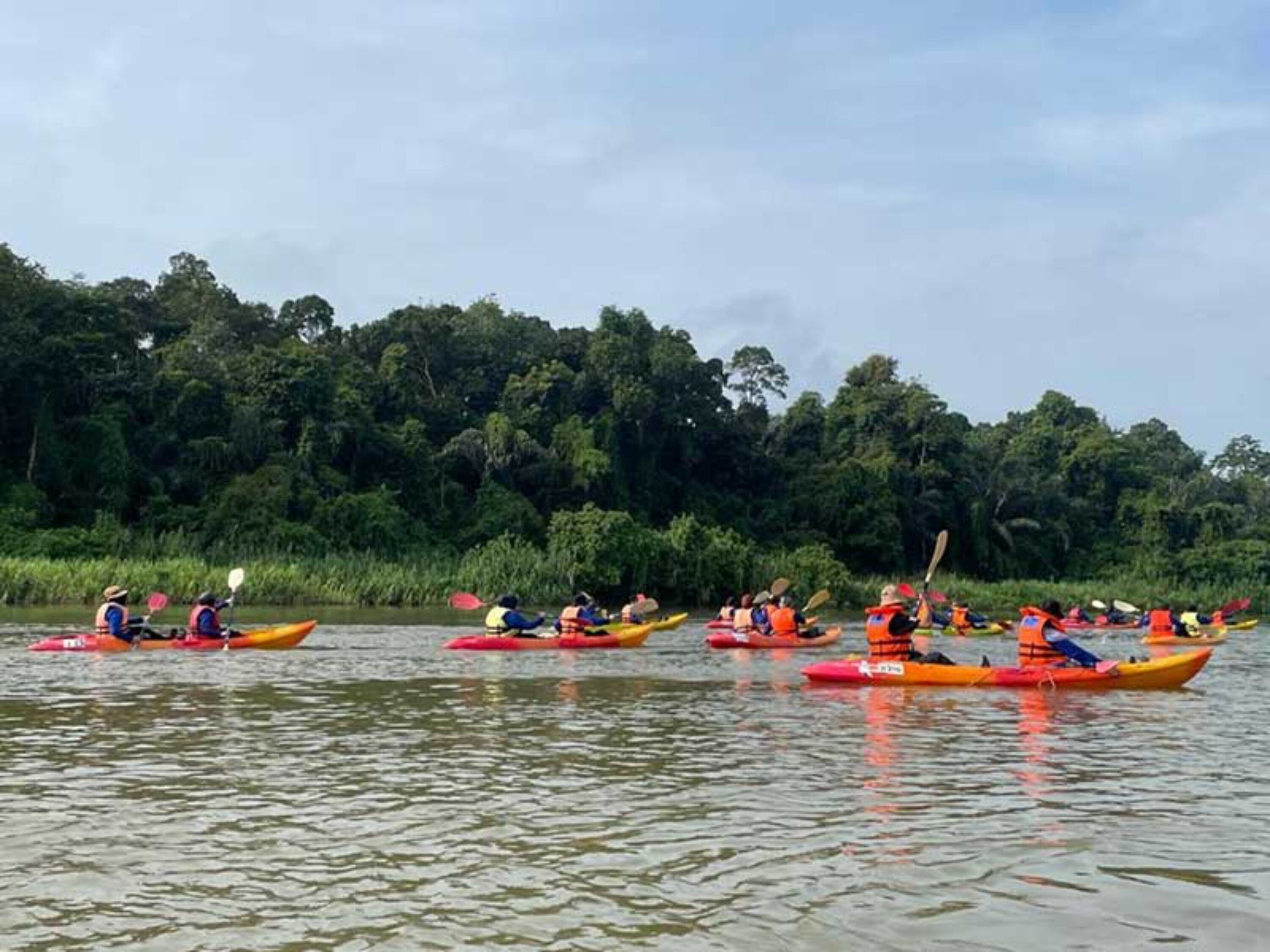 Een groep mensen kanoën op een rivier, omringd door dicht bos.
