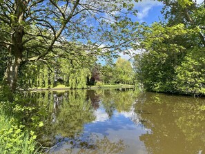 Imagen sin descripción, 2 de 39, botón