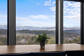 Interior - BRAND NEW! Modern Design with Mountain Views! (Stowe)