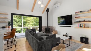 Smart TV, chimenea, libros