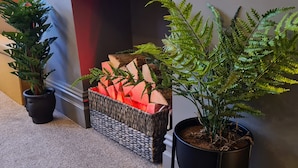 A hallway with two potted plants, one with broad leaves and another with fern-like foliage, and a decorative wooden structure with logs and stones.