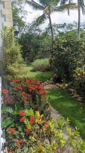 Stroll through the serene garden, surrounded by a variety of lush plants and vibrant blooms.