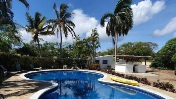Ein Pool mit geschwungener Kante, umgeben von Palmen und wolkenlosem, blauem Himmel.