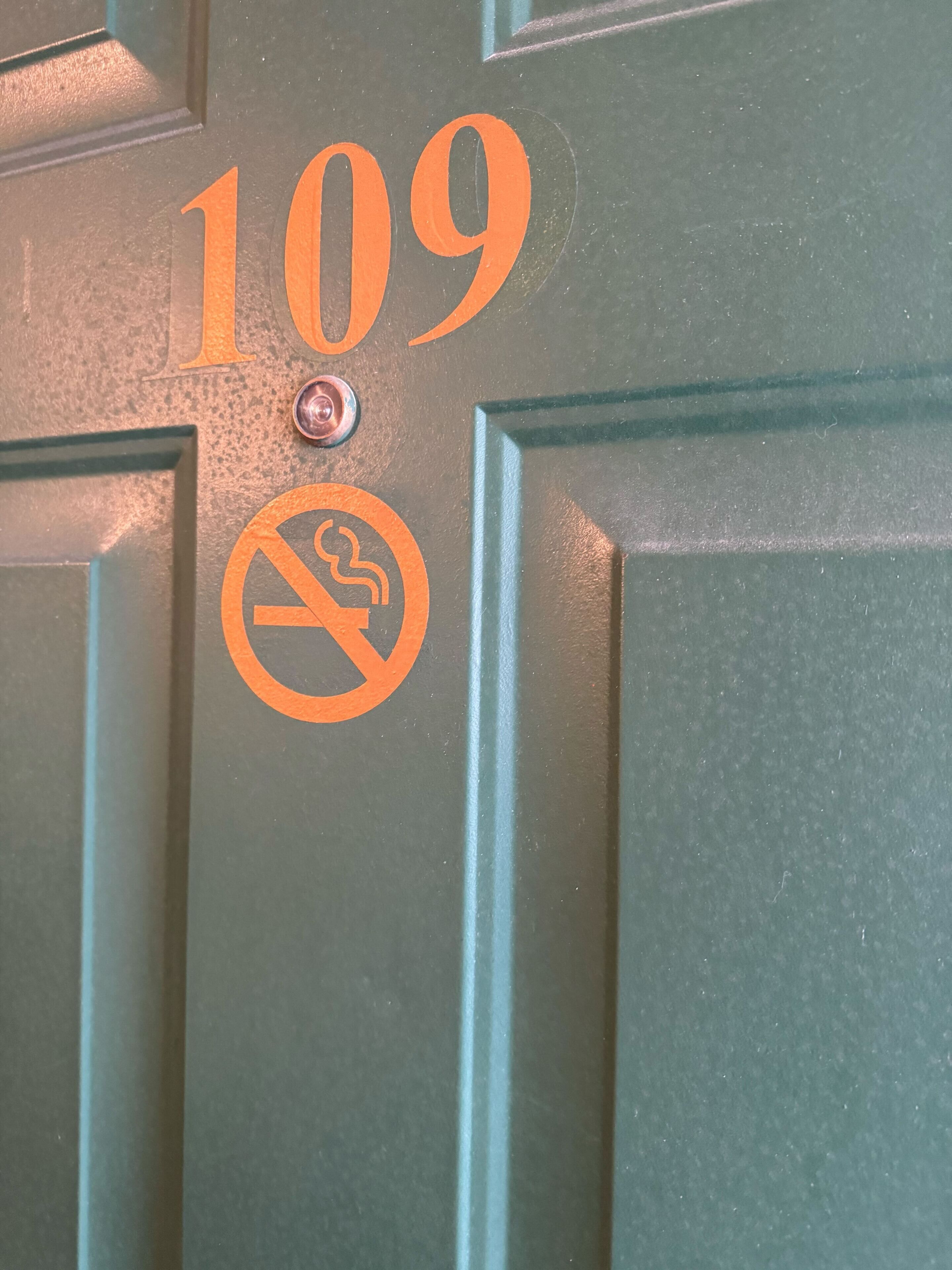 A door with the number 109 and a no-smoking sign.