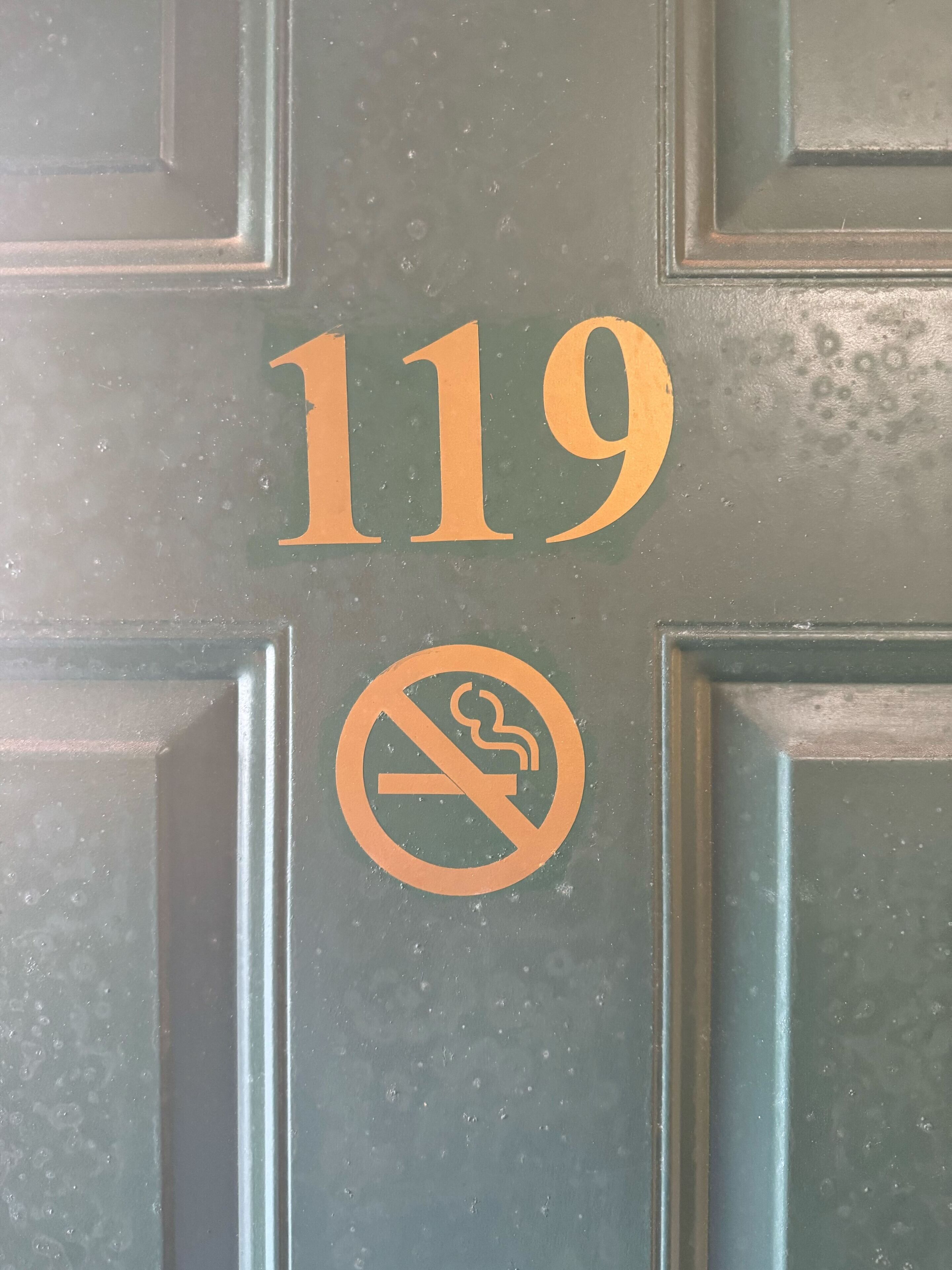 A door with the number 119 and a no-smoking sign.