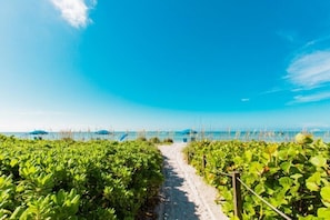 Un sendero que lleva a una playa, bordeado de abundante vegetación.