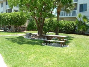A grassy area with a picnic table and a tree.