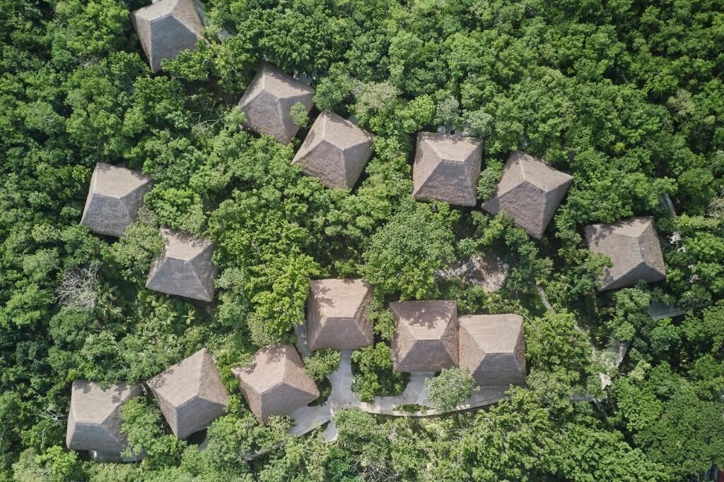Vue aérienne d’un quartier résidentiel composé de nombreuses maisons, entourées d’une végétation luxuriante.