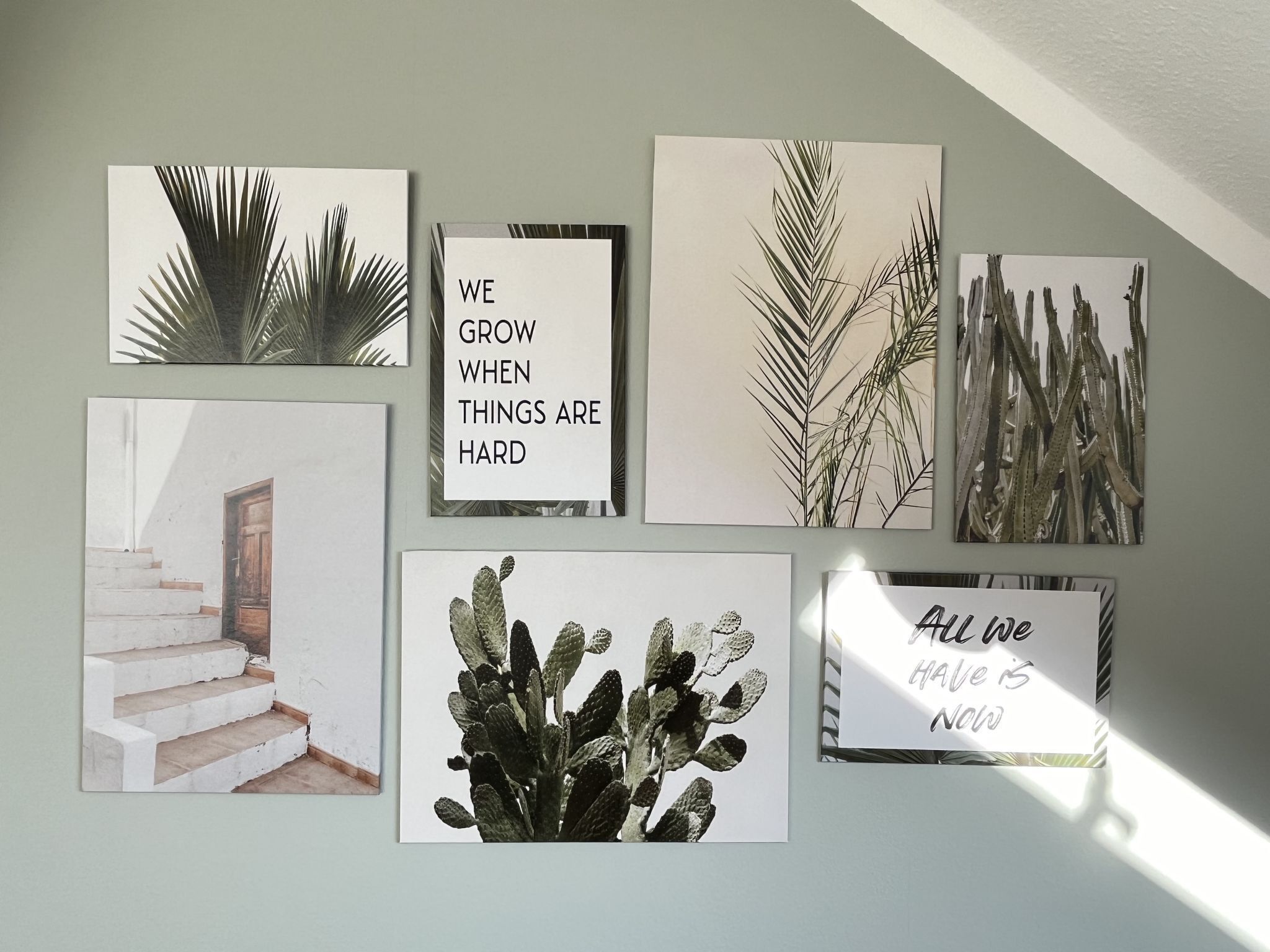 Een muur met zes ingelijste foto's, waaronder een cactus en palmbladeren, en een trap.